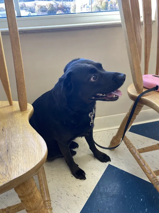 Robinson Animal Hospital 10