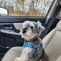 Robinson Animal Hospital ico