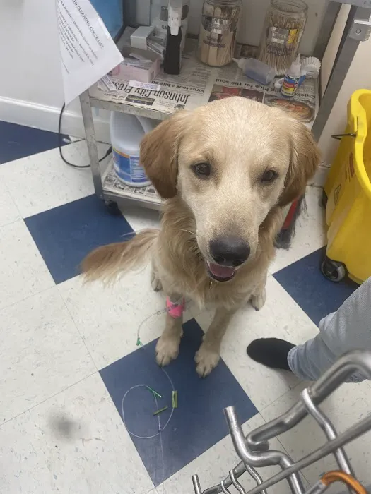Robinson Animal Hospital 3