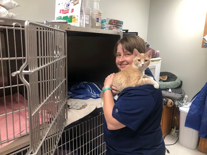 Jonesborough Animal Hospital 4