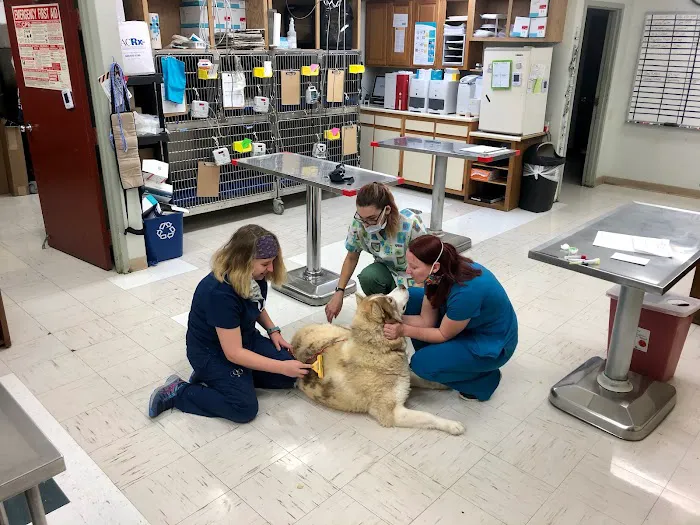 Jonesborough Animal Hospital 5