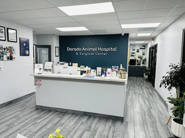 Dorado Animal Hospital & Surgical Center 7