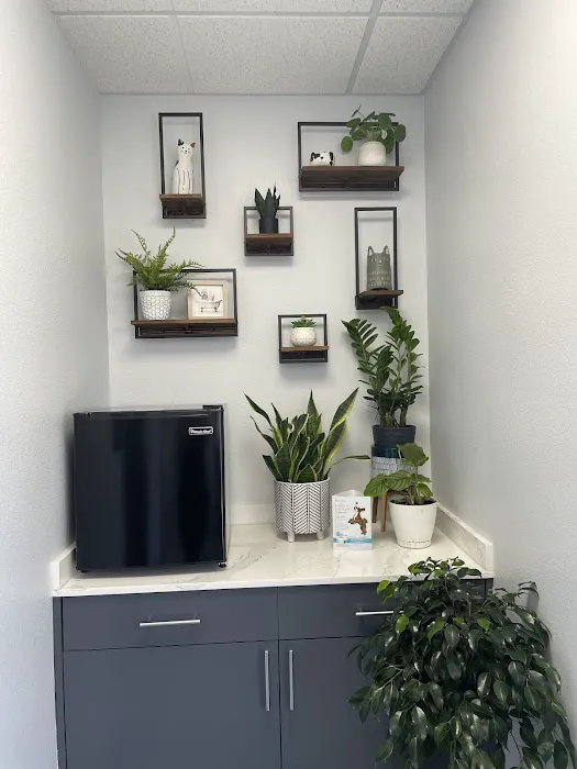 Dorado Animal Hospital & Surgical Center 8