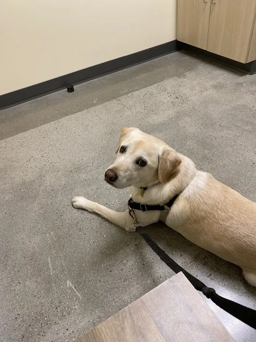 Vetco Total Care Animal Hospital 8