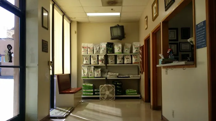 College Pet Clinic 4