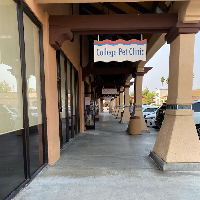 College Pet Clinic 2