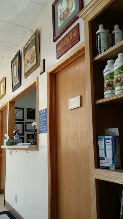 College Pet Clinic 7
