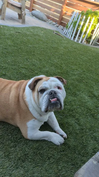 Banfield Pet Hospital 9