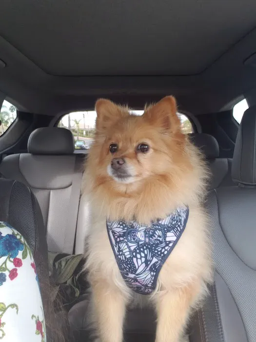 Banfield Pet Hospital 6
