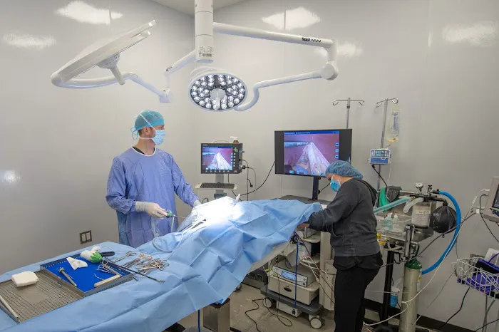 Coastal Animal Hospital 7