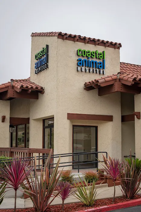Coastal Animal Hospital 1