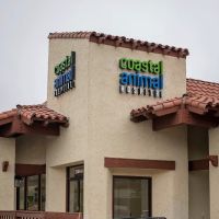 Coastal Animal Hospital ico