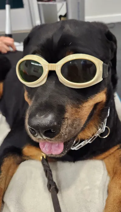 Companion Animal Wellness Center 7