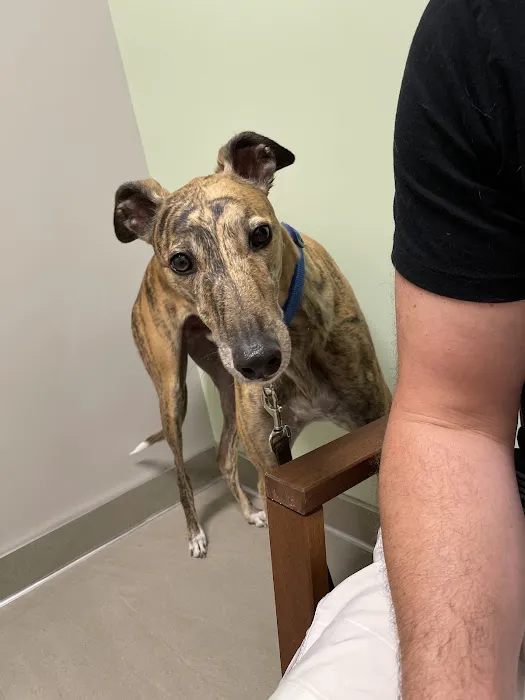 Companion Animal Wellness Center 4