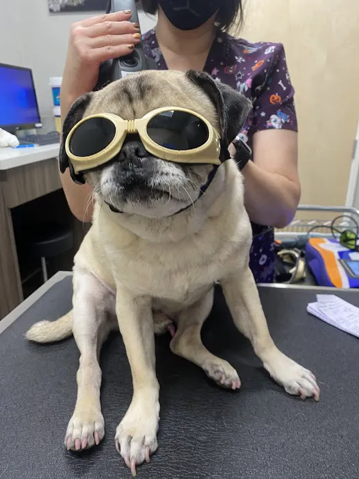 Companion Animal Wellness Center 3