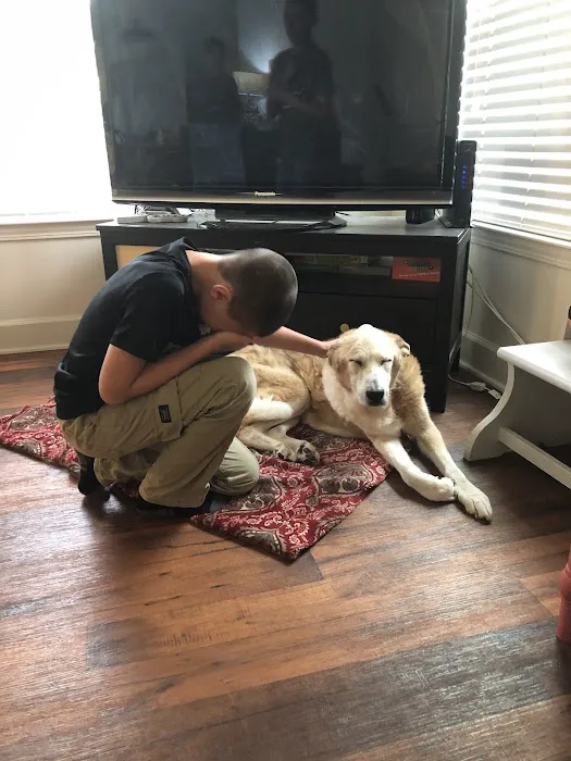 Signature Veterinary Services 5