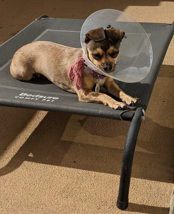 Mohnacky Animal Hospitals of Carlsbad 2