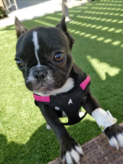 Mohnacky Animal Hospitals of Carlsbad 9