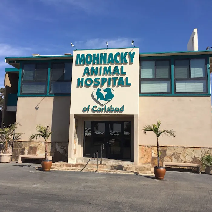 Mohnacky Animal Hospitals of Carlsbad 1