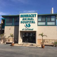 Mohnacky Animal Hospitals of Carlsbad ico