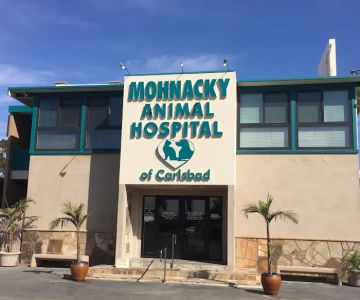 Mohnacky Animal Hospitals of Carlsbad