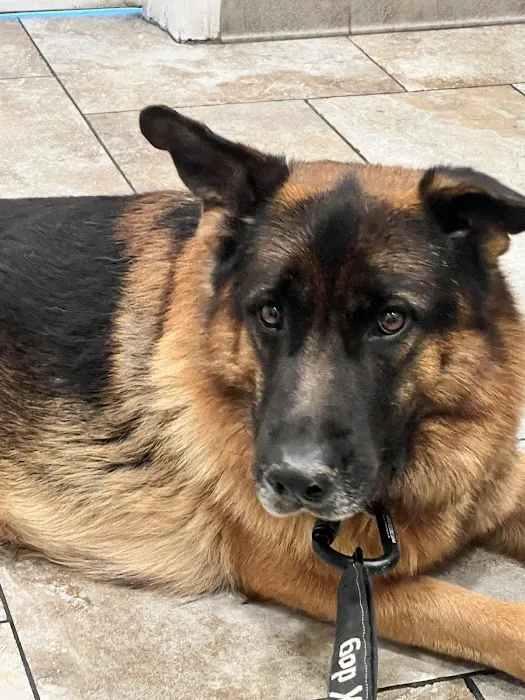 Mohnacky Animal Hospitals of Carlsbad 10