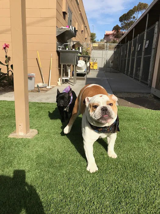 Mohnacky Animal Hospitals of Carlsbad 6