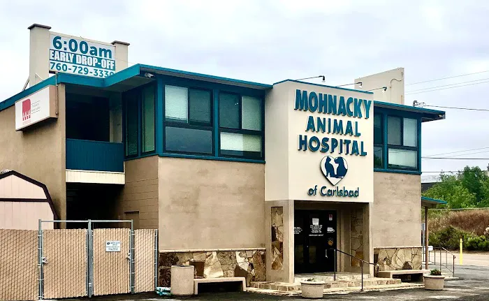 Mohnacky Animal Hospitals of Carlsbad 3