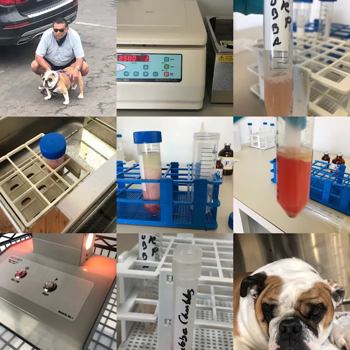 Mohnacky Animal Hospitals of Carlsbad 7