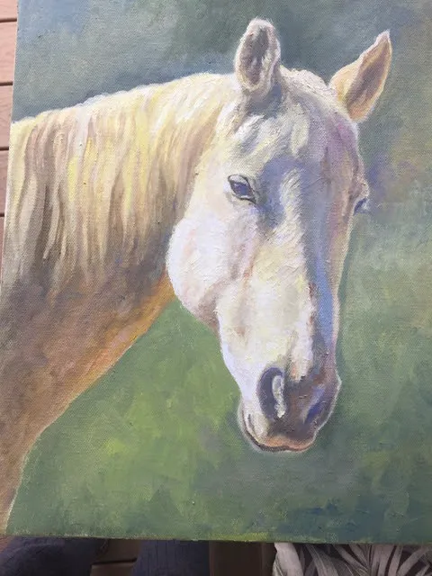 San Luis Rey Equine Hospital 2