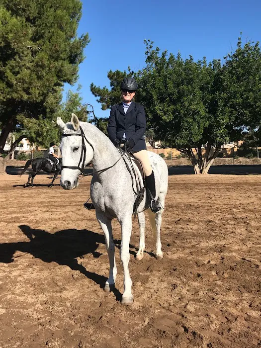 San Luis Rey Equine Hospital 6