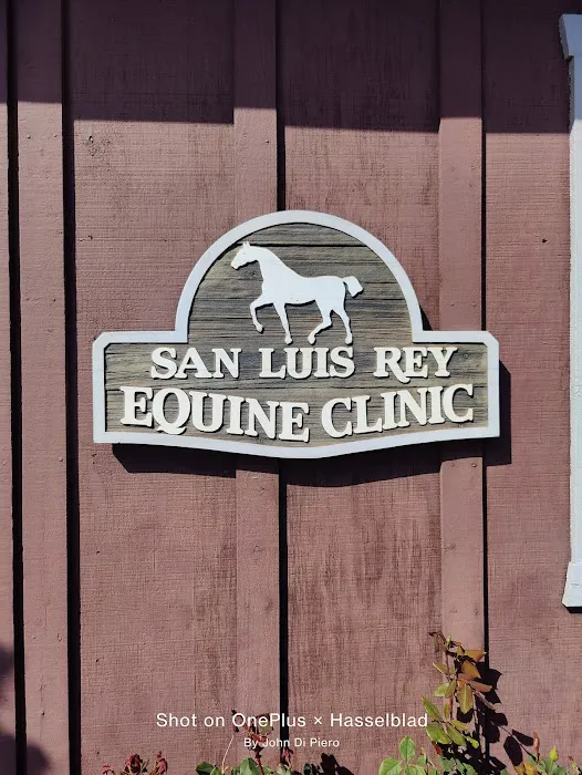 San Luis Rey Equine Hospital 10