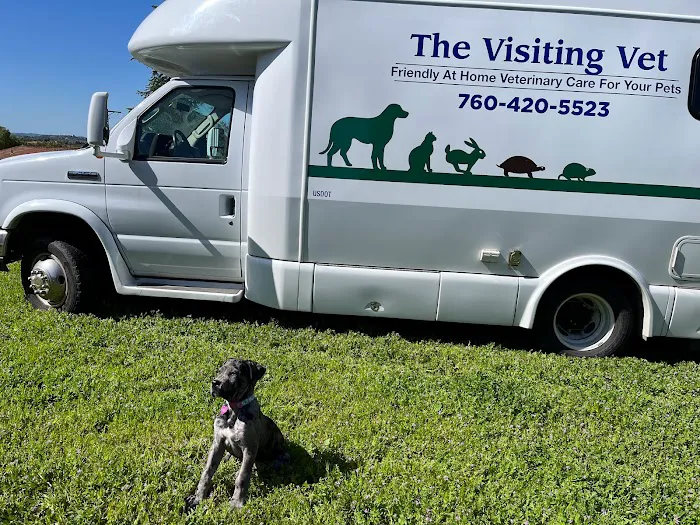 The Visiting Vet North County 6