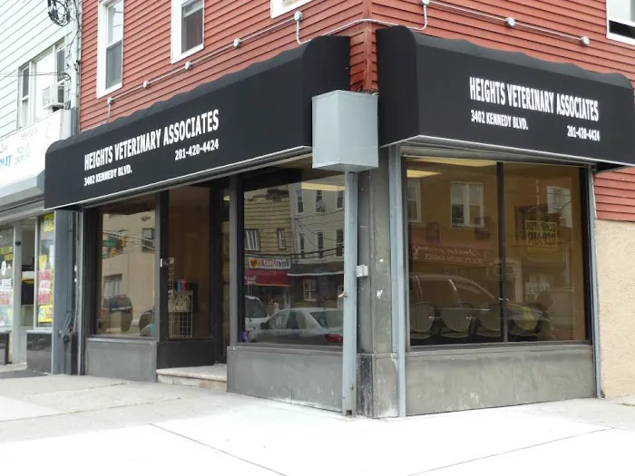 Heights Veterinary Associates 4
