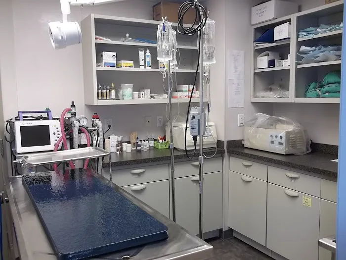 Heights Veterinary Associates 2