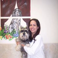 Heights Veterinary Associates ico