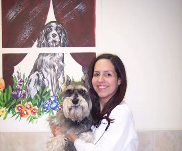 Heights Veterinary Associates