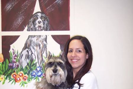 Heights Veterinary Associates