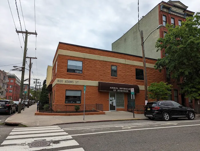 Animal Infirmary of Hoboken 12