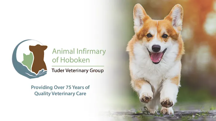 Animal Infirmary of Hoboken 12