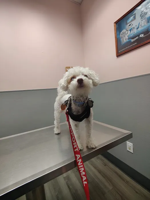 Hoboken Animal Hospital 12