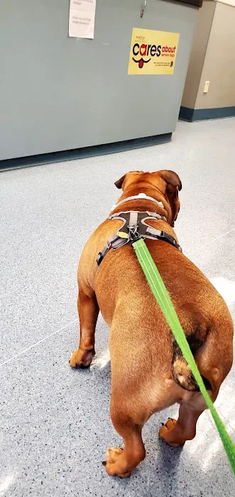 Hoboken Animal Hospital 12