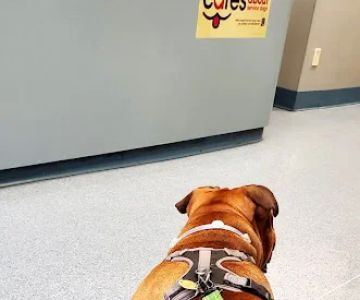 Hoboken Animal Hospital