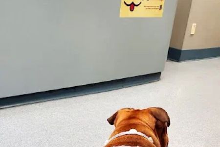Hoboken Animal Hospital