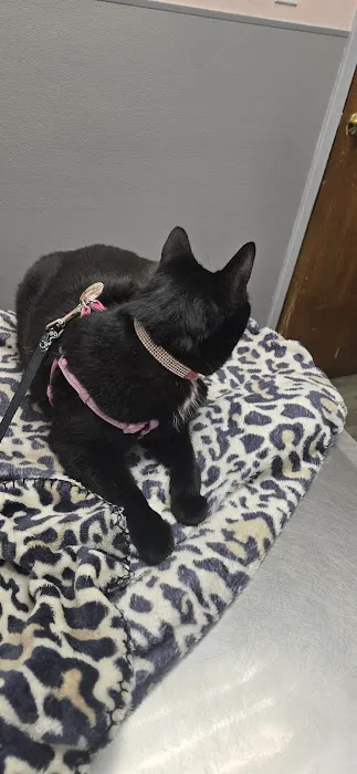 Hoboken Animal Hospital 12