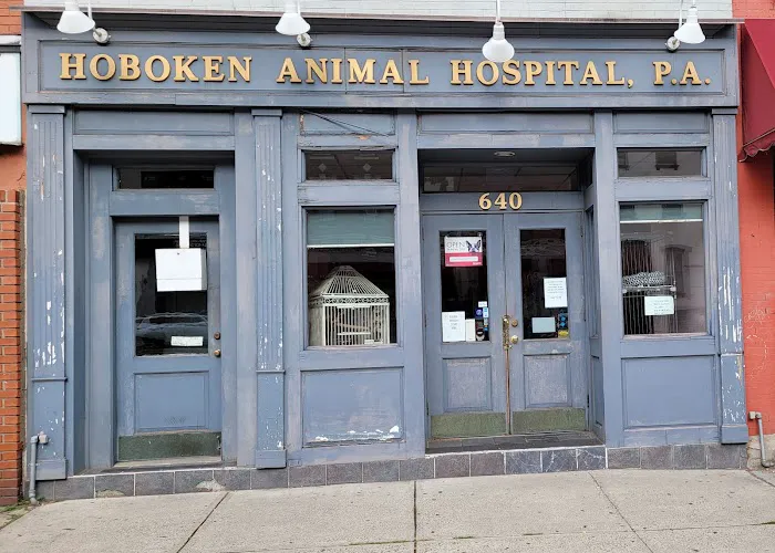 Hoboken Animal Hospital 12