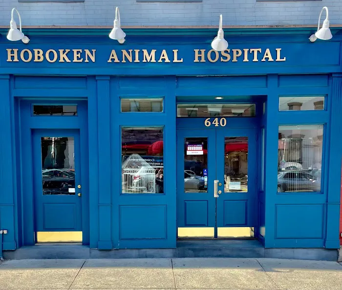 Hoboken Animal Hospital 12