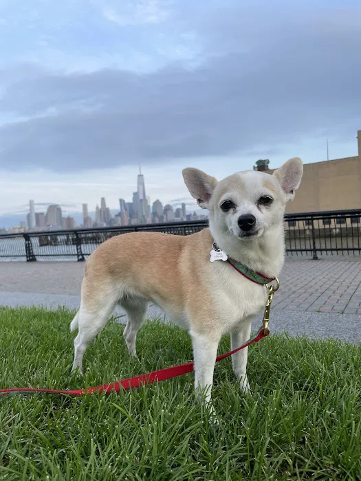 Hoboken Animal Hospital Pa: Martin Emmanuelle DVM 12