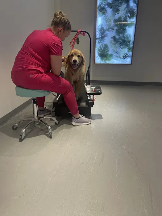 Sage Canine Rehabilitation Center 12