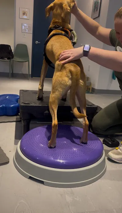Sage Canine Rehabilitation Center 12